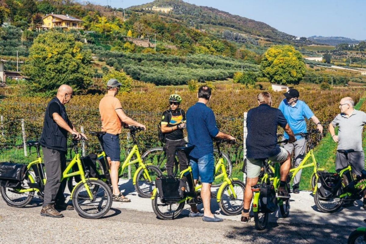 Amarone Wine by E-Bike: Valpolicella Countryside